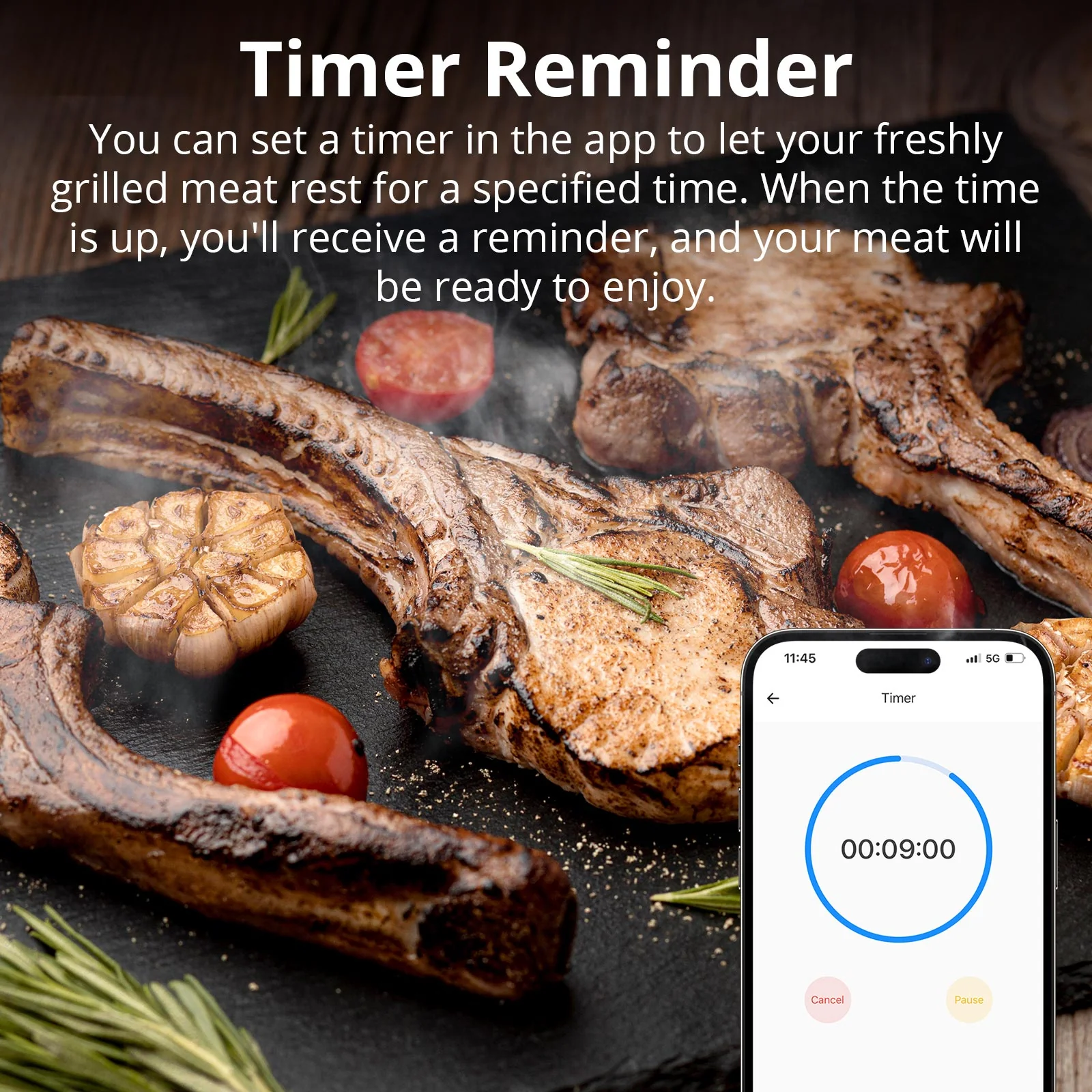 SONOFF BBQ Meat Thermometer | BMT01